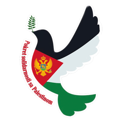 Solidarnost Palestina CG