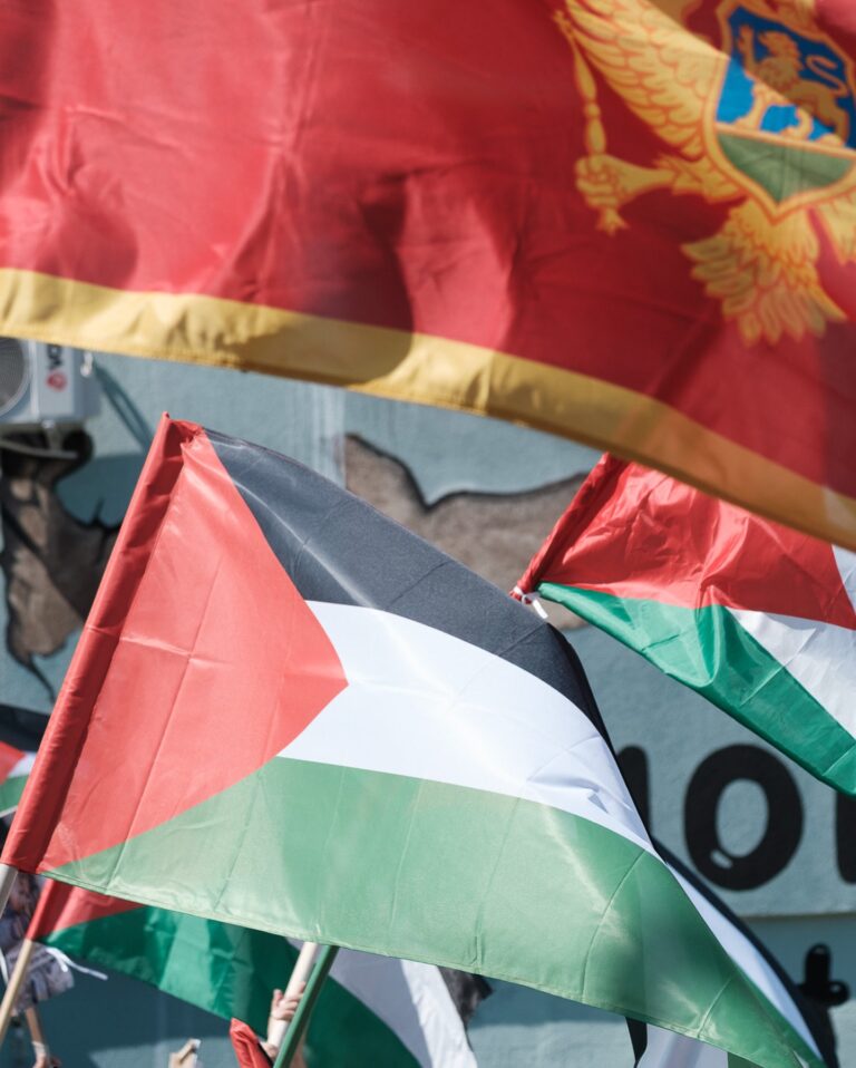 Read more about the article Žrtveno jagnje, politička ovca: gdje je Crna Gora? Simbolika Dana palestinske zastave